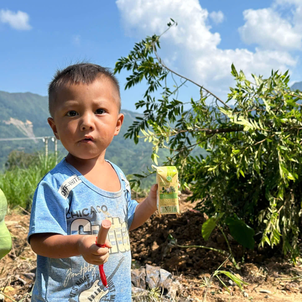 Cứu trợ & Tái thiết 