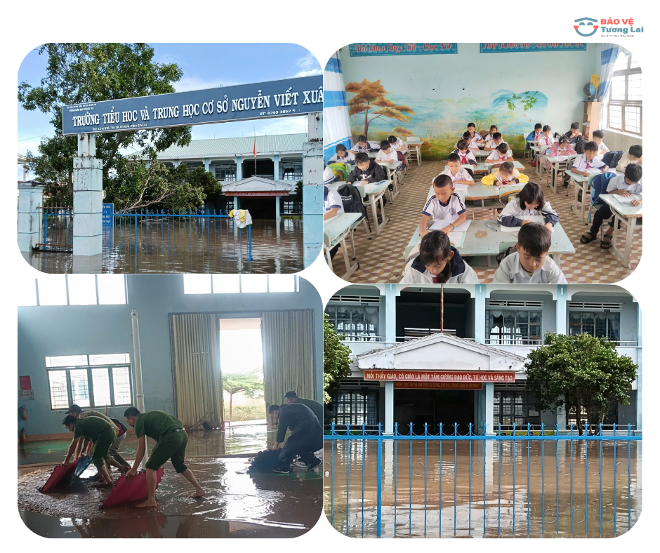 Ghế lành, Ươm mầm Gia Lai